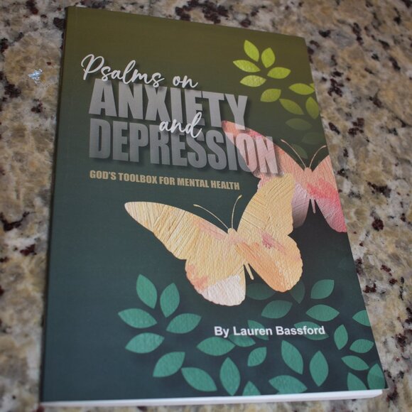 Psalms on Anxiety and Depression: God's Toolbox for Mental Health Paperback - Picture 1 of 3
